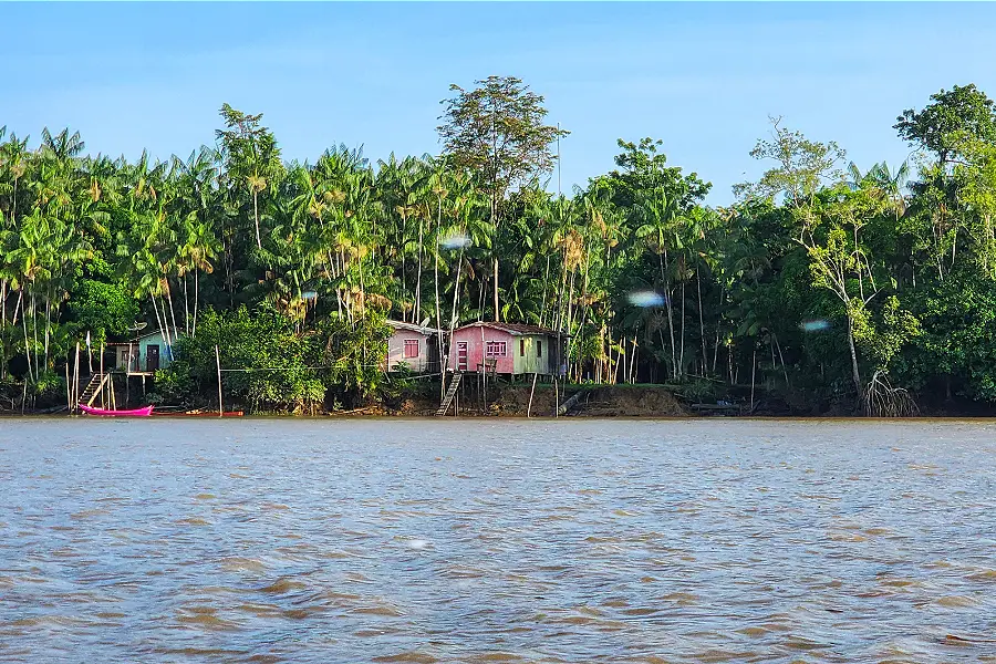 Comunidade ribeirinha nas ilhas de Abaetetuba (PA): o chão de maré e o território vivo onde a história e o manejo tradicional desafiam a lógica das cercas virtuais do mercado de carbono. Foto: Lilian Campelo/ALEPA.