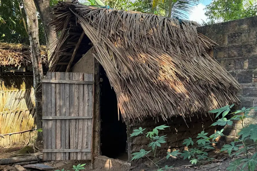 Detalhe da sentina tradicional construída em barro e palha, cercada por manivas de mandioca: soluções da arquitetura tradicional cabocla. Foto: Miguel Picanço/Amazônia Latitude.