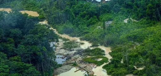 Sobrevoo na região de Surucucu, na Terra Indígena Yanomami (RR), flagra avanço do garimpo ilegal e contaminação das águas próximo a comunidades isoladas. Foto: Leo Otero/MPI.