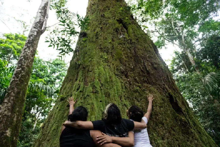 Conectar-se aos territórios da vida: a floresta como um cosmos vivo e base da verdadeira política climática. Foto: Acervo Mídia NINJA/Reprodução.
