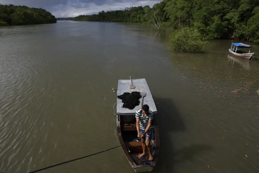 A defesa dos territórios tradicionais e a soberania indígena são centrais nos debates sobre o futuro dos biomas e o mercado global de carbono. Foto: Fernando Frazão/Agência Brasil.